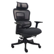 EA-EC-P045A Ergonomic Office Chair