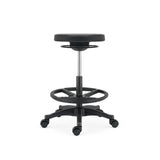 Ergonomic Gas Air Lift Height Adjustable Sit Stand Office Mobile Stool EA-CH04-12