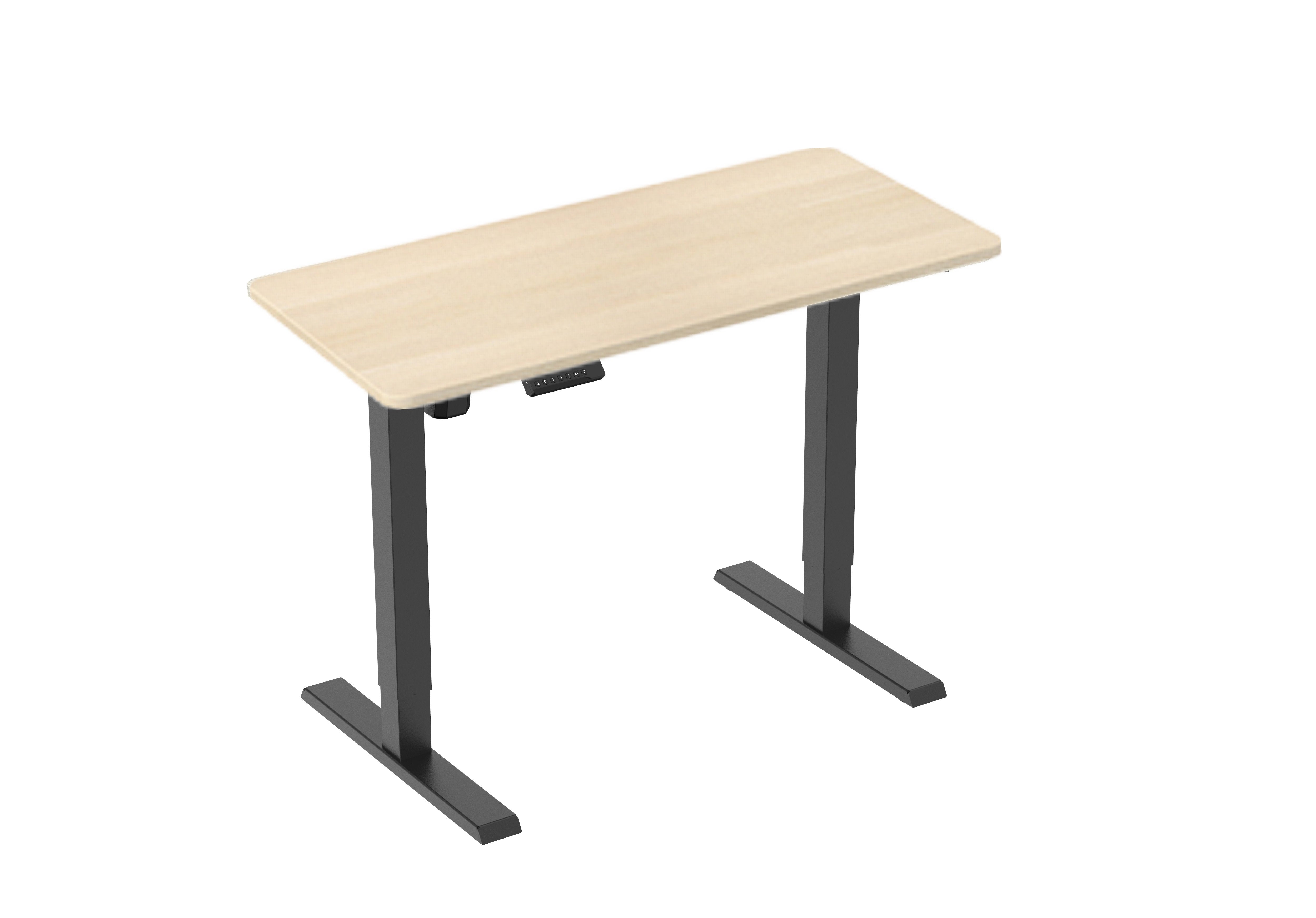 Dual Motor Standing Desk Sit Stand Table Riser Height Adjustable Motorised Electric Computer Laptop Table